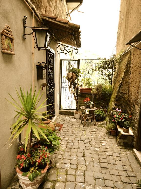 Vistalago Guesthouse نيمْيِ المظهر الخارجي الصورة